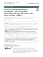 Elucidating mechano-pathology of osteoarthritis
