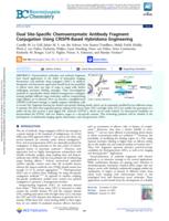 Dual site-specific chemoenzymatic antibody fragment conjugation using CRISPR-based hybridoma engineering