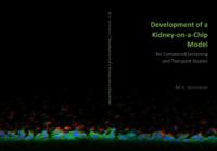 Development of a kidney-on-a-chip model for compound screening and transport studies