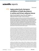 Aging selectively dampens oscillation of lipid abundance in white and brown adipose tissue