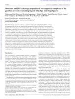 Structure and DNA cleavage properties of two copper(II) complexes of the pyridine-pyrazole-containing ligands mbpzbpy and Hmpzbpya