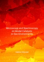 Microscopy and spectroscopy on model catalysts in gas environments