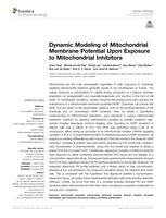 Dynamic modeling of mitochondrial membrane potential upon exposure to mitochondrial inhibitors