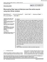 Discovering fiber type architecture over the entire muscle using data-driven analysis