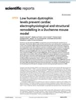 Low human dystrophin levels prevent cardiac electrophysiological and structural remodelling in a Duchenne mouse model