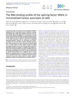 The RNA-binding profile of the splicing factor SRSF6 in immortalized human pancreatic beta-cells