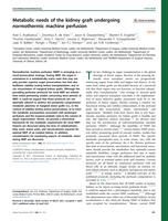 Metabolic needs of the kidney graft undergoing normothermic machine perfusion