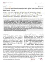 Evaluation of multiple transcriptomic gene risk signatures in male breast cancer