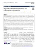 Migraine and neuroinflammation: the inflammasome perspective