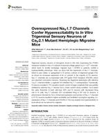 Overexpressed Na(V)1.7 channels confer hyperexcitability to in vitro trigeminal sensory neurons of Ca(V)2.1 mutant hemiplegic migraine mice