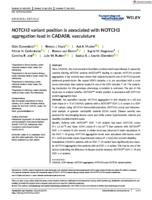 NOTCH3 variant position is associated with NOTCH3 aggregation load in CADASIL vasculature