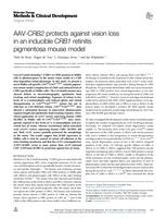 AAV-CRB2 protects against vision loss in an inducible CRB1 retinitis pigmentosa mouse model