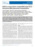 ELOF1 is a transcription-coupled DNA repair factor that directs RNA polymerase II ubiquitylation