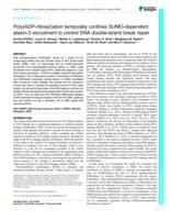 Poly(ADP-ribosyl)ation temporally confines SUMO-dependent ataxin-3 recruitment to control DNA double-strand break repair