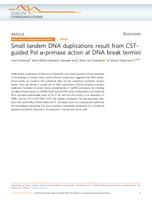 Small tandem DNA duplications result from CST-guided Pol alpha-primase action at DNA break termini