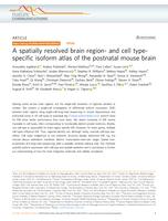 A spatially resolved brain region- and cell type-specific isoform atlas of the postnatal mouse brain