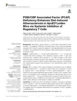 P300/CBP associated factor (PCAF) deficiency enhances diet-induced atherosclerosis in ApoE3*Leiden mice via systemic inhibition of regulatory T cells