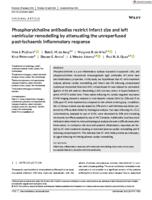 Phosphorylcholine antibodies restrict infarct size and left ventricular remodelling by attenuating the unreperfused post-ischaemic inflammatory response