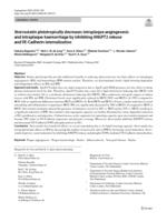 Atorvastatin pleiotropically decreases intraplaque angiogenesis and intraplaque haemorrhage by inhibiting ANGPT2 release and VE-Cadherin internalization