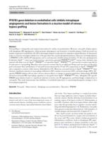 PFKFB3 gene deletion in endothelial cells inhibits intraplaque angiogenesis and lesion formation in a murine model of venous bypass grafting