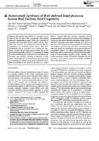 (Automated) synthesis of well-defined staphylococcus aureus wall teichoic acid fragments