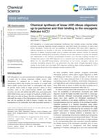 Chemical synthesis of linear ADP-ribose oligomers up to pentamer and their binding to the oncogenic helicase ALC1