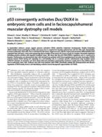 p53 convergently activates Dux/DUX4 in embryonic stem cells and in facioscapulohumeral muscular dystrophy cell models