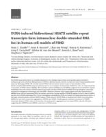 DUX4-induced bidirectional HSATII satellite repeat transcripts form intranuclear double-stranded RNA foci in human cell models of FSHD