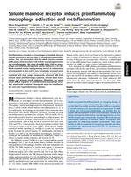 Soluble mannose receptor induces proinflammatory macrophage activation and metaflammation