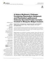 A hetero-multimeric chitinase-containing plasmodium falciparum and plasmodium gallinaceum ookinete-secreted protein complex involved in mosquito midgut invasion