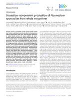 Dissection-independent production of Plasmodium sporozoites from whole mosquitoes