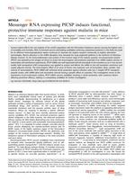 Messenger RNA expressing PfCSP induces functional, protective immune responses against malaria in mice