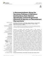 Beta-hexosaminidases along the secretory pathway of nicotiana benthamiana have distinct specificities toward engineered helminth N-glycans on recombinant glycoproteins