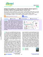 Epitope recognition of a monoclonal antibody raised against a synthetic glycerol phosphate based teichoic acid