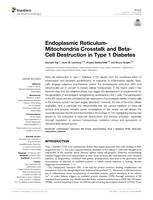 Endoplasmic reticulum-mitochondria crosstalk and beta-cell destruction in type 1 diabetes