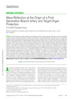 Wave reflection at the origin of a first-generation branch artery and target organ protection