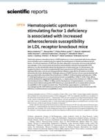 Hematopoietic upstream stimulating factor 1 deficiency is associated with increased atherosclerosis susceptibility in LDL receptor knockout mice