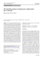 The SsgA-like proteins in actinomycetes