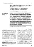 Three tuf-like genes in the kirromycin producer Streptomyces ramocissimus