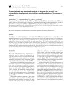 Transcriptional and functional analysis of the gene for factor C, an extracellular signal protein involved in cytodifferentiation of Streptomyces griseus