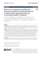 Multi-omics integration identifies key upstream regulators of pathomechanisms in hypertrophic cardiomyopathy due to truncating MYBPC3 mutations