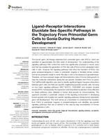 Ligand-receptor interactions elucidate sex-specific pathways in the trajectory from primordial germ cells to gonia during human development