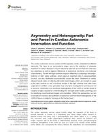 Asymmetry and heterogeneity: part and parcel in cardiac autonomic innervation and function
