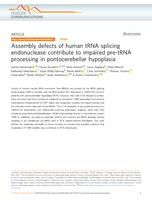 Assembly defects of human tRNA splicing endonuclease contribute to impaired pre-tRNA processing in pontocerebellar hypoplasia