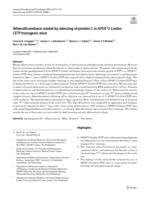 Atherothrombosis model by silencing of protein C in APOE*3-Leiden.CETP transgenic mice