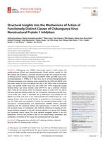 Structural insights into the mechanisms of action of functionally distinct classes of Chikungunya virus nonstructural protein 1 inhibitors