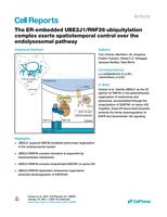 The ER-embedded UBE2J1/RNF26 ubiquitylation complex exerts spatiotemporal control over the endolysosomal pathway