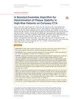 A boosted ensemble algorithm for determination of plaque stability in high-risk patients on coronary CTA