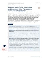 Bicuspid aortic valve morphology and outcomes after transcatheter aortic valve replacement