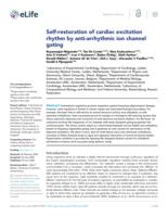 Self-restoration of cardiac excitation rhythm by anti-arrhythmic ion channel gating